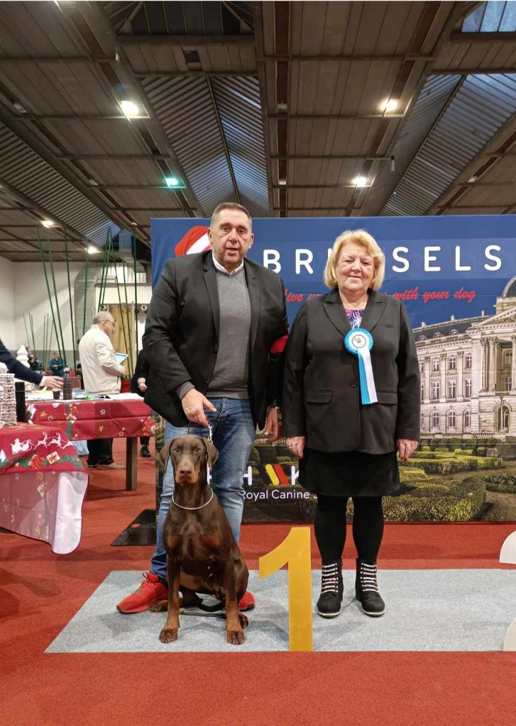 du Parc des marais d'Opale - BRUXELLES DOG SHOW 16/12/2023 Matin 