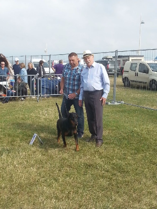 du Parc des marais d'Opale - SPECIALE DOBERMANN DIEPPE 