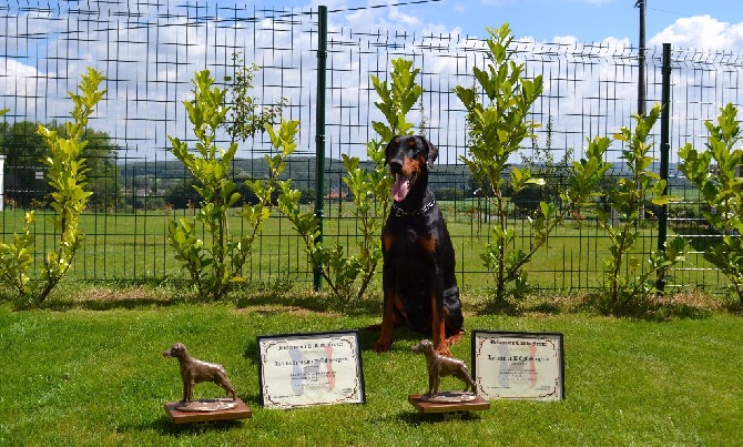 du Parc des marais d'Opale - CHAMPIONNE DU DOBERMANN CLUB DE FRANCE 2016