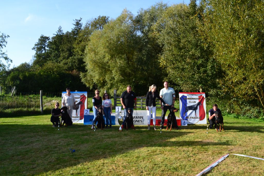 du Parc des marais d'Opale - Meilleur Lot d'Elevage  Trophée Patrick Trachez 2023 