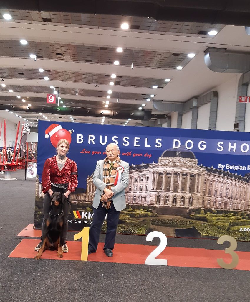 du Parc des marais d'Opale - BRUSSELS DOG SHOW 10/12/2022