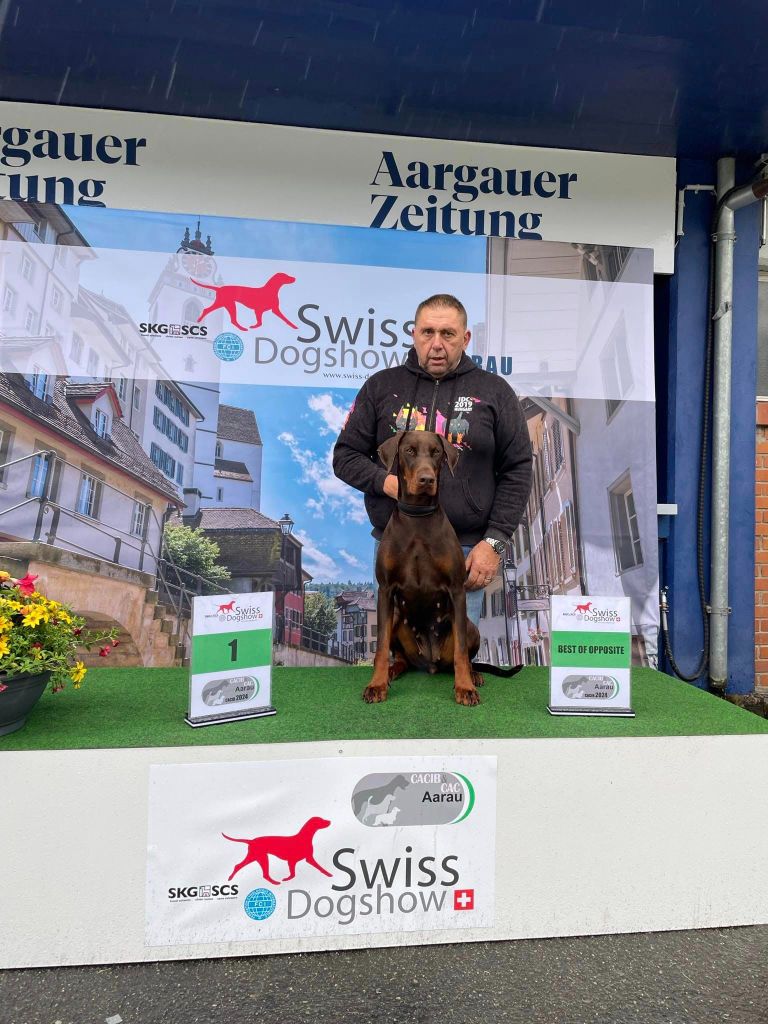 du Parc des marais d'Opale - NEW CHAMPIONNE DE SUISSE IDS DOG SHOW SWISS  Aarau le 22 - 23/06/2024