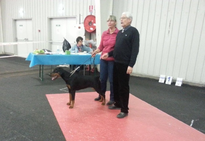 du Parc des marais d'Opale - CACS - CACIB ROUEN 06/12/2014