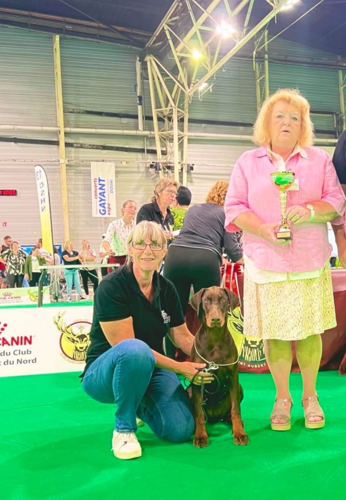 du Parc des marais d'Opale -  IDS . DOUAI SPÉCIALE DE RACE DOBERMANN 