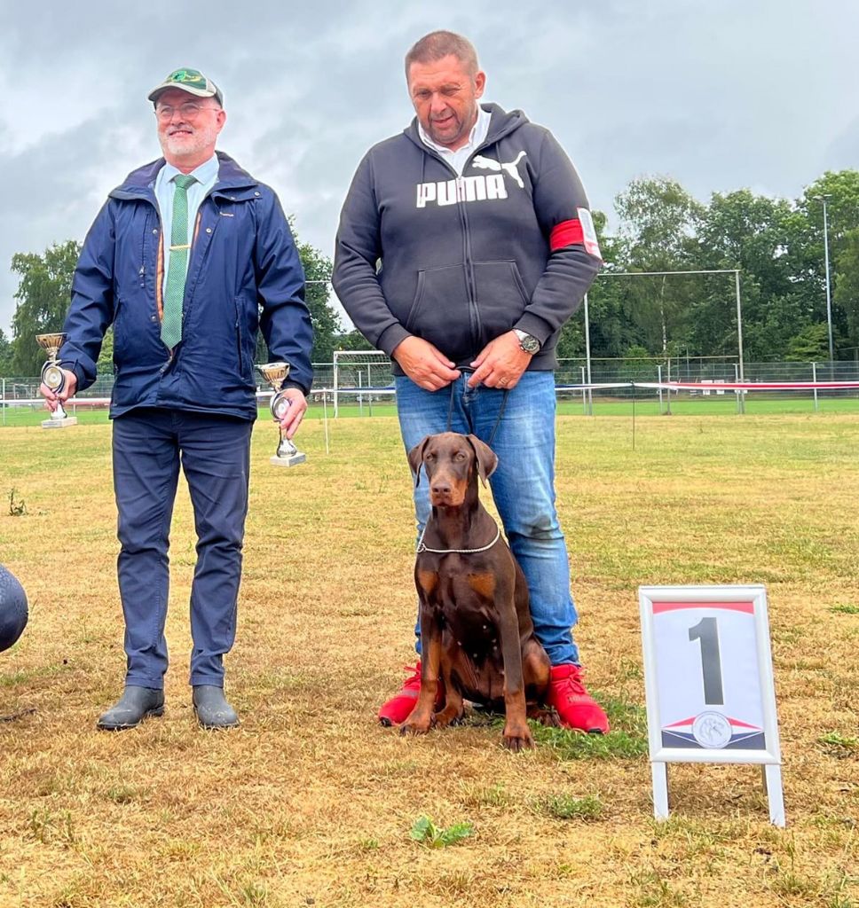 du Parc des marais d'Opale -  Dobermann Specialty 2023 (D.V.I.N)- Kampioenschaps Clubmatch 2023, 