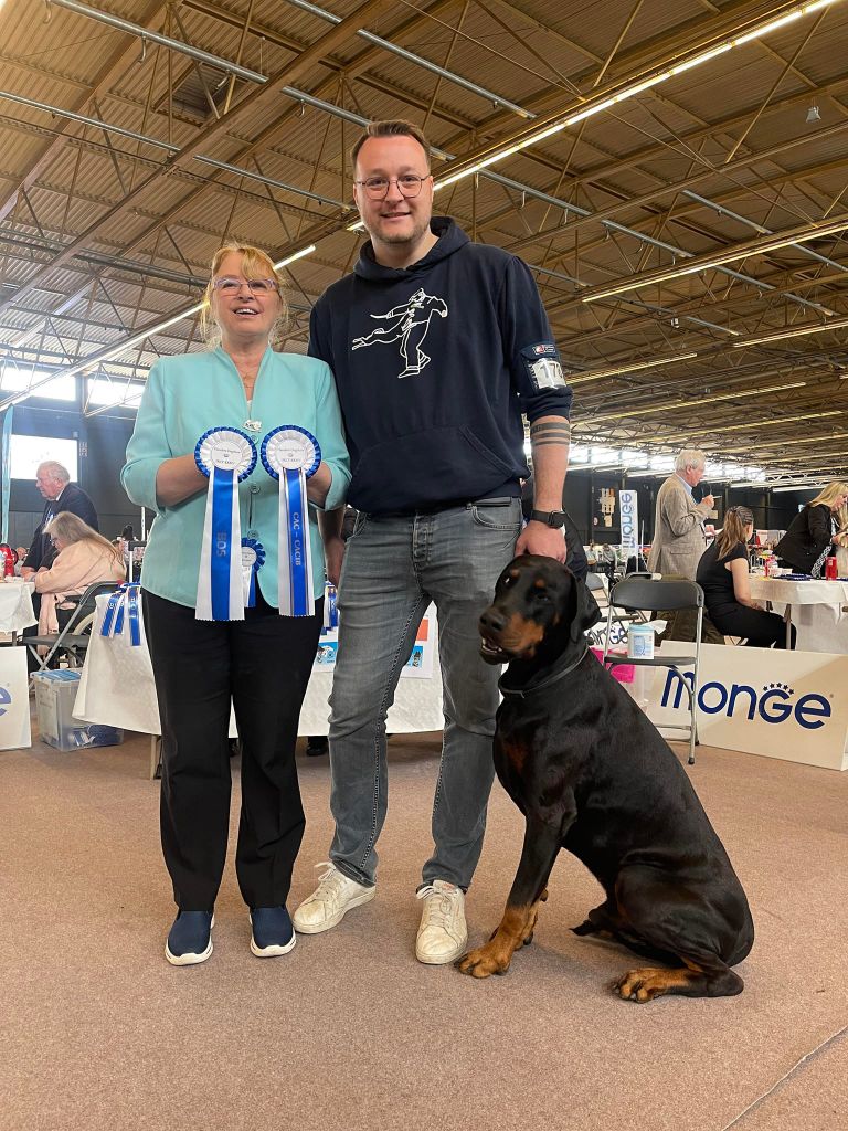 du Parc des marais d'Opale - Gent - 53e Flanders Dog Show - Belgium