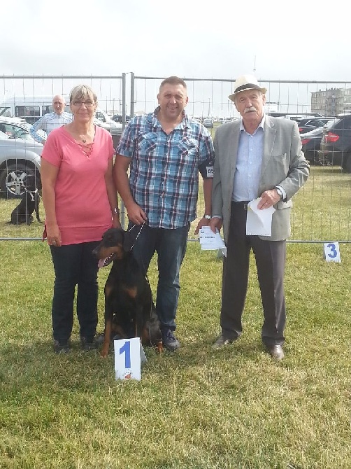 du Parc des marais d'Opale - SPECIALE DOBERMANN DIEPPE 