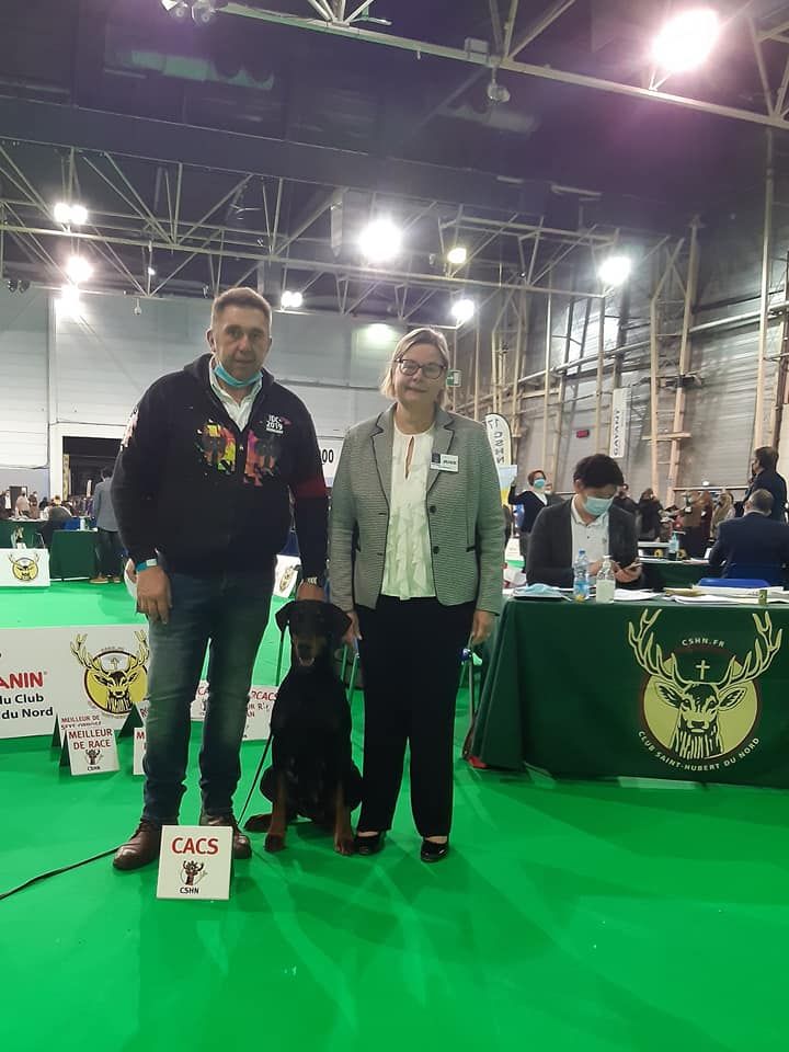 du Parc des marais d'Opale - CACS DOUAI SPECIAL DE RACE DOBERMANN