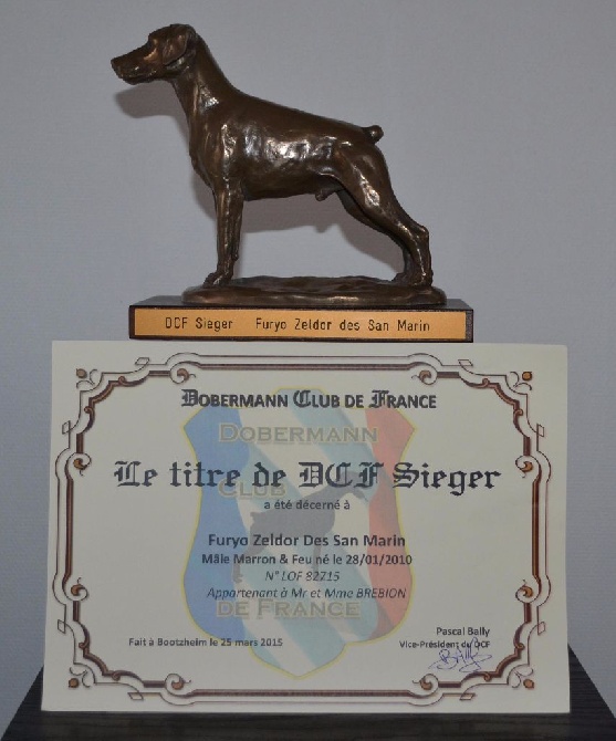 du Parc des marais d'Opale - HOMOLOGATION DU TITRE DE DCF SIEGER 2015 FURYO ZELDOR DES SAN MARIN 