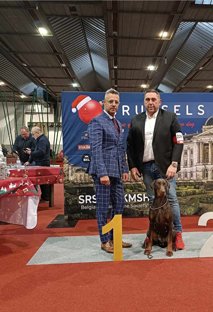 du Parc des marais d'Opale - BRUXELLES DOG SHOW 16/12/2023 Aprés midi 