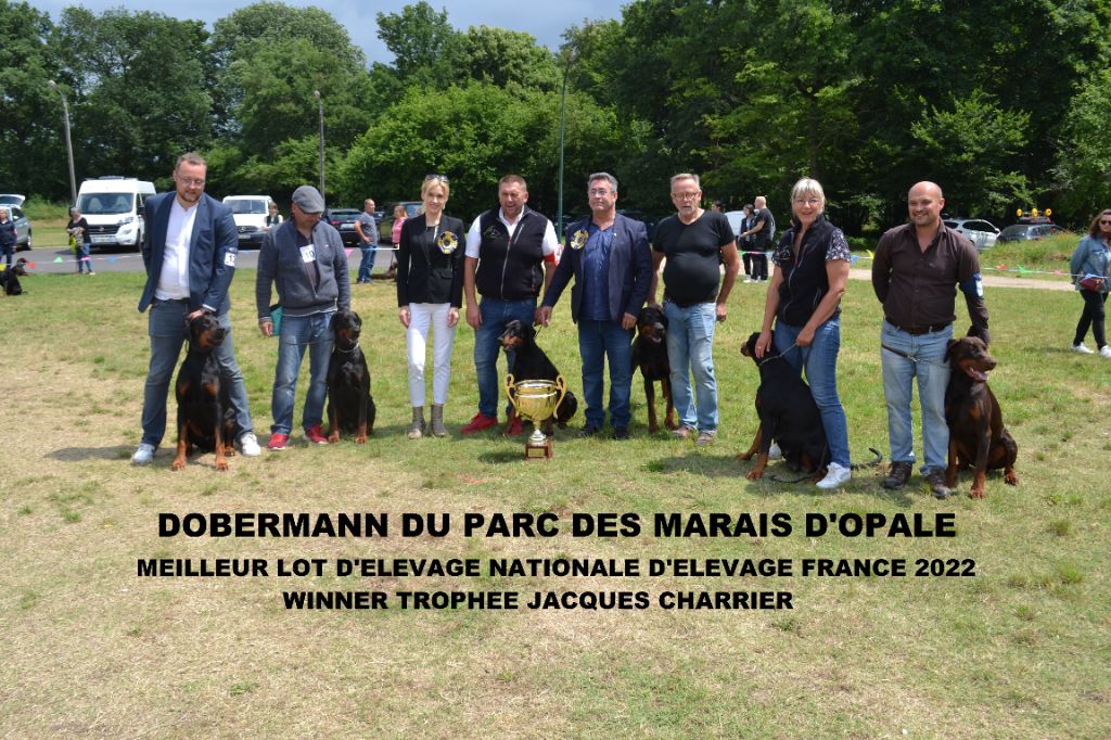 du Parc des marais d'Opale - NATIONALE D'ELEVAGE DOBERMANN CLUB DE FRANCE 