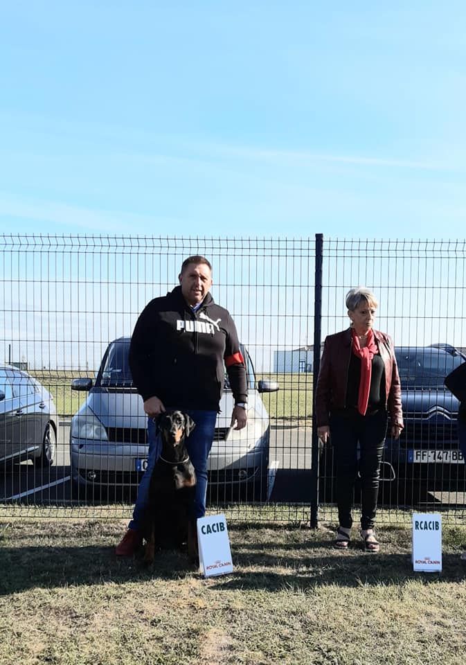 du Parc des marais d'Opale -  INTERNATIONAL DOG SHOW COMPIEGNE 