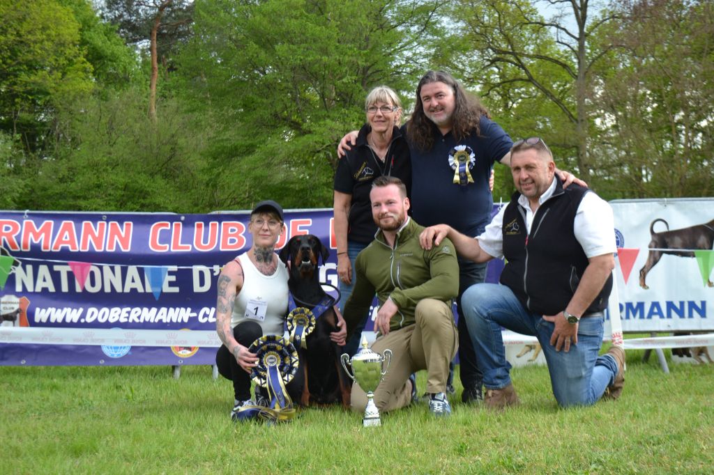 du Parc des marais d'Opale - 48 éme NATIONALE D'ELEVAGE DOBERMANN CLUB DE FRANCE 