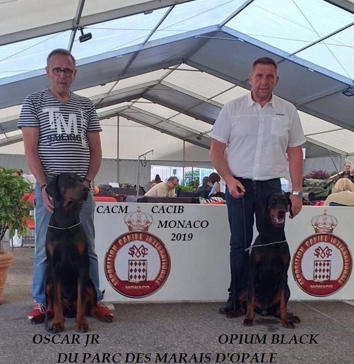 du Parc des marais d'Opale - CACM - CACIB MONACO 2019