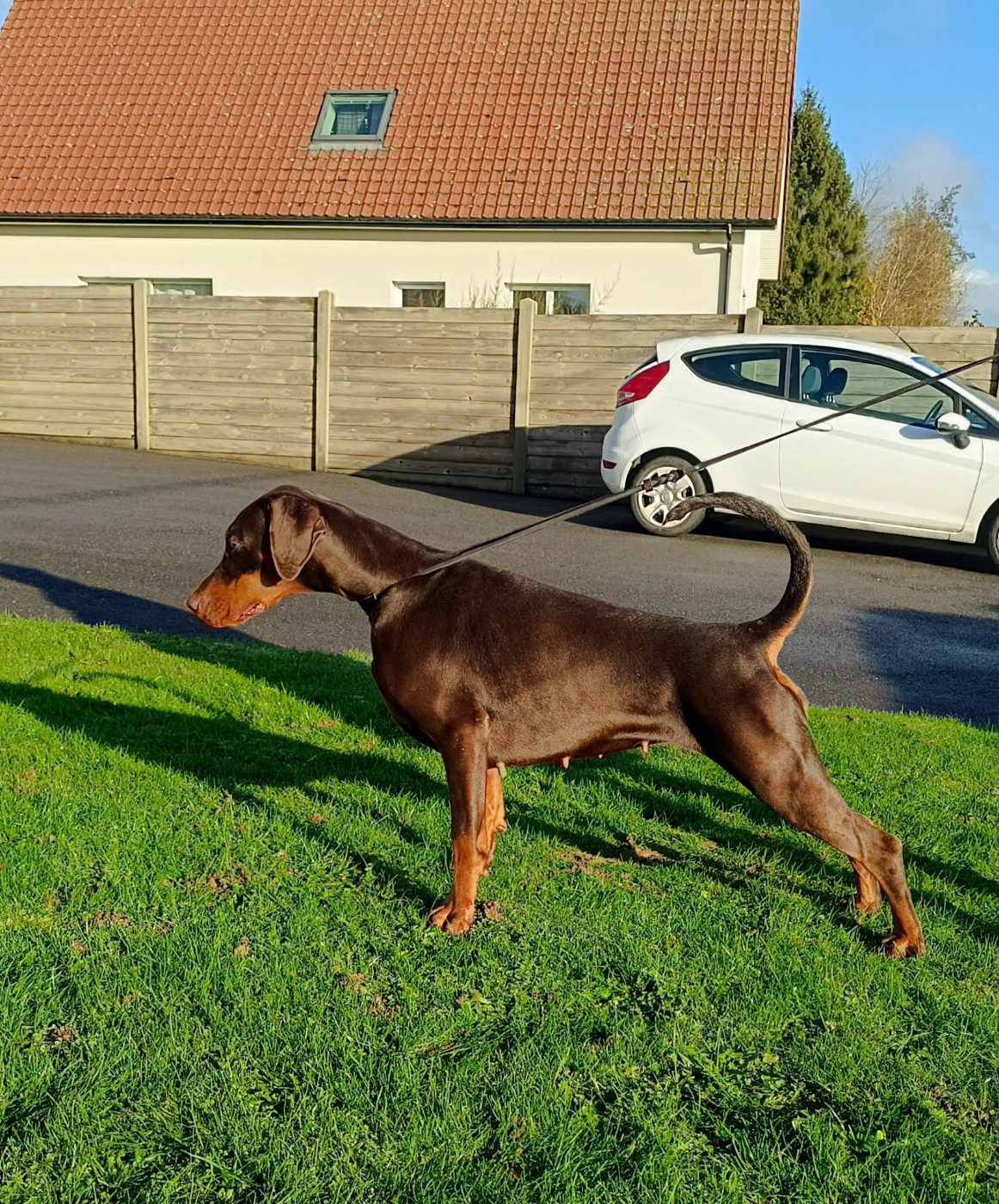 CH. Int. urban legend du Parc des marais d'Opale