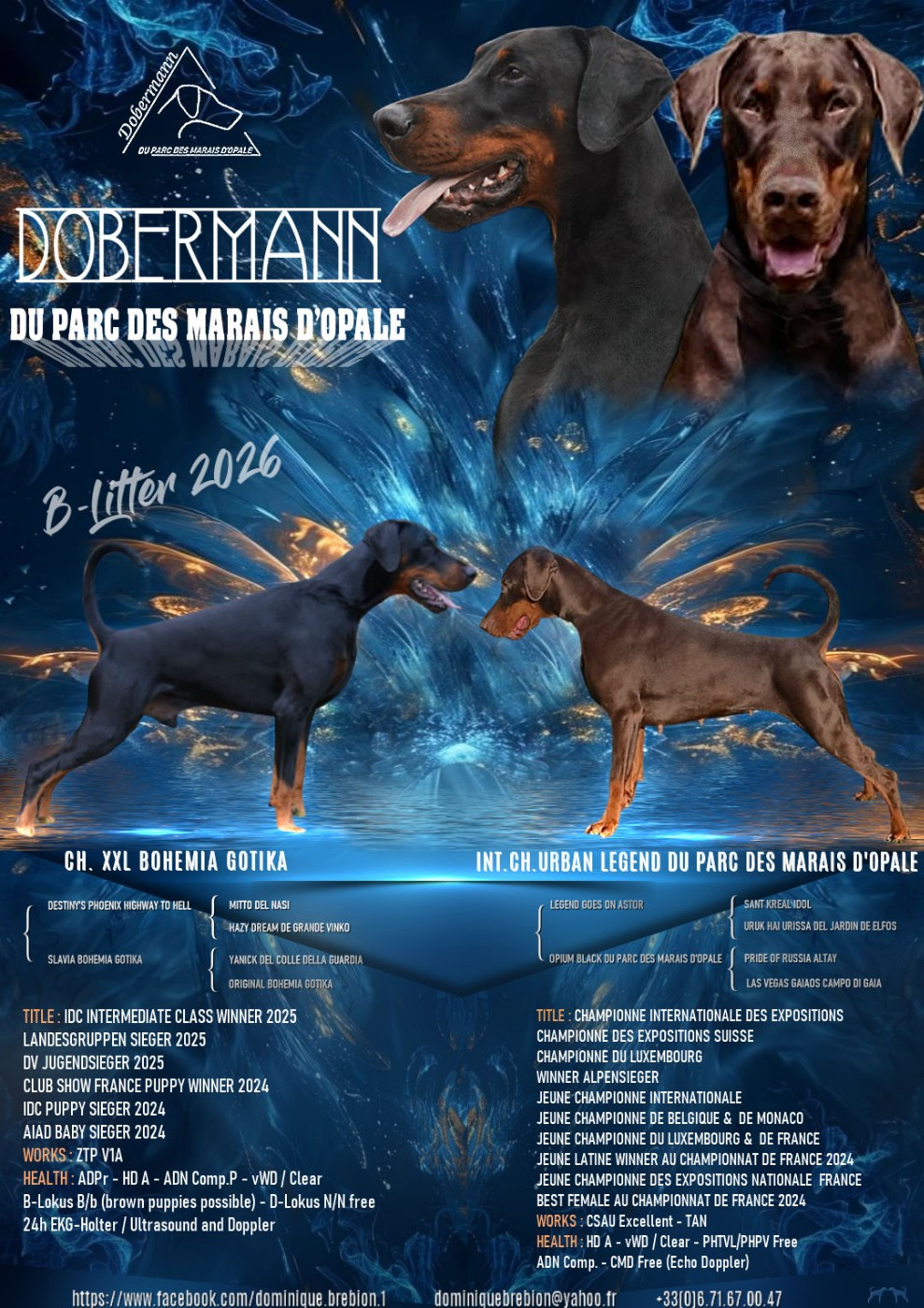 du Parc des marais d'Opale - MARIAGE AU PARC DES MARAIS D'OPALE