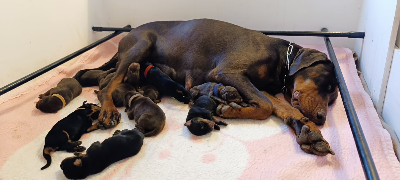Portée 2026 au Parc des Marais D'Opale