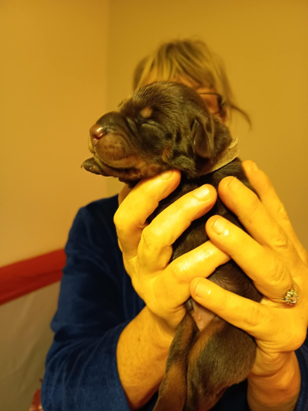 MARIAGE AU PARC DES MARAIS D'OPALE