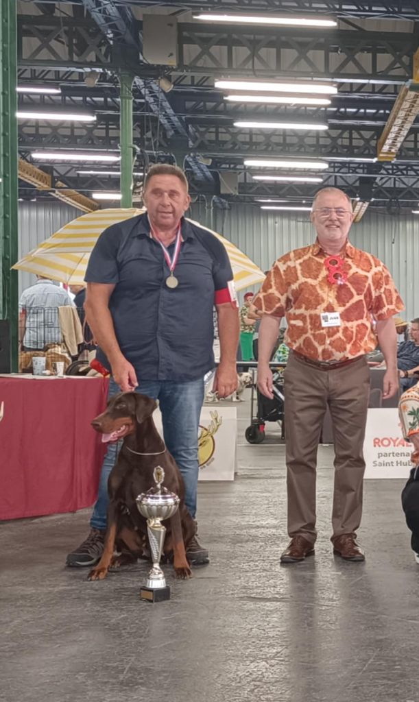 du Parc des marais d'Opale - IDS INTERNATIONAL DOG SHOW MAUBEUGE 