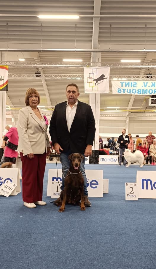 IDS DOG SHOW MECHELEN 