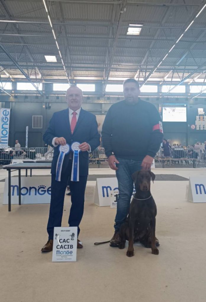 du Parc des marais d'Opale - GENT - 58e FLANDERS DOG SHOW BELGIUM