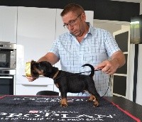 CHIOT