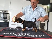 CHIOT
