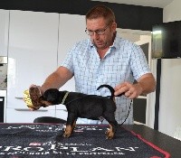 CHIOT