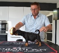 CHIOT
