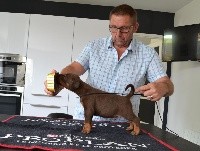 CHIOT