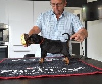 CHIOT