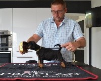 CHIOT